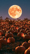 © Joyce - a pumpkin patch at night, illuminated by the glow of a full moon. The scene features numerous pumpkins of varying sizes and shapes, some illuminated from within, creating a warm glow.
