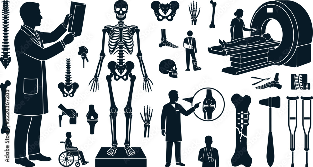 Orthopedics and Radiology Silhouette Icon Set Featuring Doctor ...