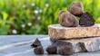 © savittree - Fresh Truffles on Rustic Stone Surface with Greenery in Background, Gourmet Ingredient for Culinary Delights
