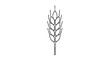 © Jason - Ripe wheat stalk with paired grain kernels up a slender stem, drawn as a thin black vector icon for harvest, bread baking and farm produce labels.