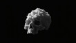 © Radenkovic - Monochrome, fluffy white and gray cloud shaped like a human skull with hollow eye sockets, nose cavity and jaw floating against a solid black background