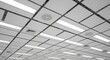 © Visual - Black and white photo of a suspended ceiling grid with light panels