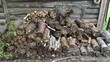 © Mirala - A neat pile of chopped firewood stacked against an old weathered log wall of a rustic wooden cabin, rural life, autumn preparation concept.