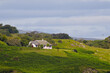 © TomKorcak - Idyllic white rural cottage nestled in lush green rolling hills and rugged landscape, offering peaceful isolation and tranquil off-grid living in nature