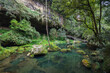 © leungchopan - Peaceful forest pool and rock cliff landscape in xitou taiwan