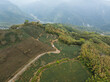 © leungchopan - Winding mountain road in forest