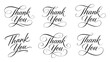 © Svetlana - Six elegant black calligraphic 'Thank You' script designs with decorative flourishes, ideal for cards, invitations, stationery, and branding
