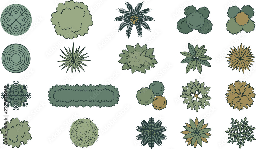 Tree Layout Layout Collection of architectural tree top view symbols for landscape design ...