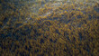 © Amazing Aerial - Aerial view of dense seaweed beds floating in clear water with gentle ripples and natural light in Bajawa, Nusa Tenggara Timur, Indonesia.