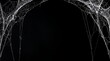 © Shella - Intricate White Spider Webs Hanging on Pitch Black Surface