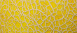 © banjongseal324 - Close Up Yellow Melon Rind Texture Macro Background,Close up macro photo of bright yellow melon rind showing distinct netted pattern texture, creating a unique natural background.