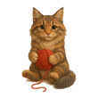 © Rawpixel.com - PNG Cute kitten with yarn ball
