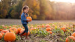 © siblil_falah - Little girl carrying an orange pumpkin at a patch during national pumpkin day, enjoying autumn harvest season outdoors in nature view