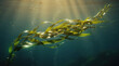 © pido - Green seaweed floating in sunlit deep ocean water