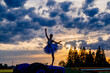 © Metadancer - Ballet white dancer performing gracefully on tractor