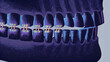 © Artfinity - Stylized dental illustration of human teeth with orthodontic braces on a solid background