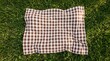 © Тоха Шикула - A checkered picnic blanket laid on a grassy surface outdoors