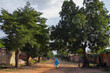 © Eric Lafforgue - Person in blue veil walking on a dirt street lined with tall trees, Hauts-Bassins Region, Bobo Dioulasso, Burkina Faso
