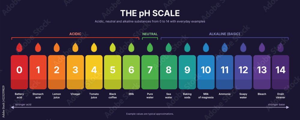 Stock-Vektorgrafik „pH scale chart with acidic, neutral and alkaline ...