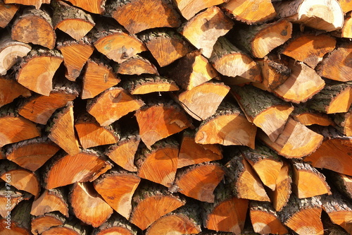 bois orange