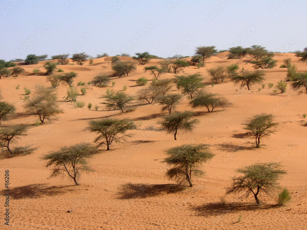 sahel sud-mauritanien