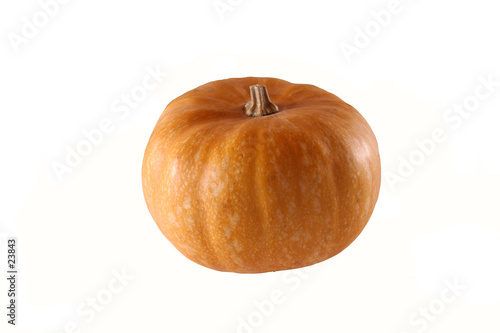 potiron