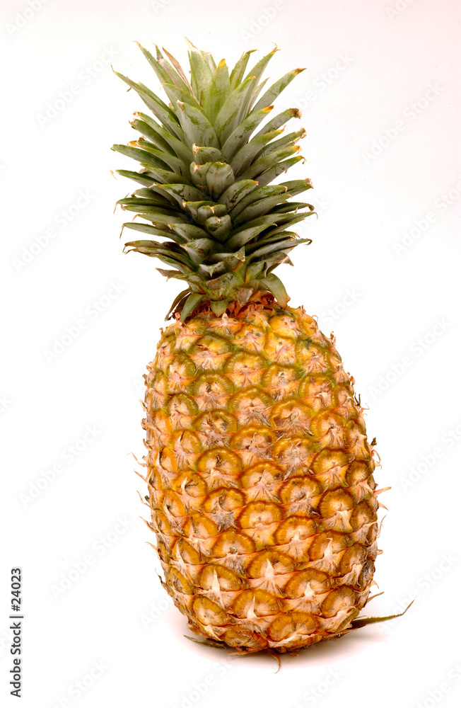 Fototapeta premium ananas 01