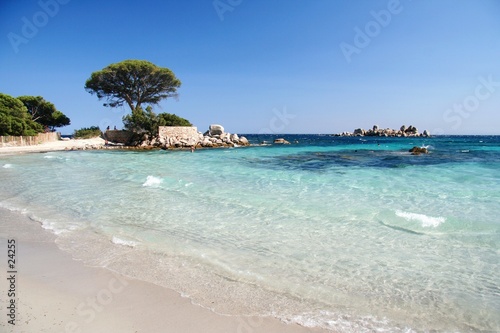 tamariccio