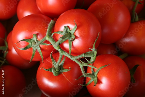 tomates grappes © iMAGINE