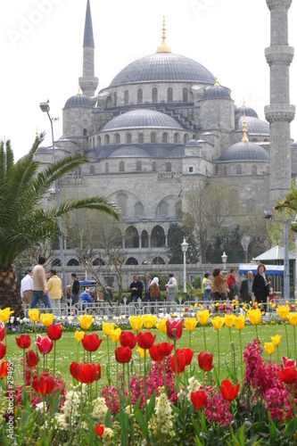 blue mosque in istanbul
