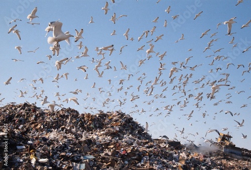 city dump
