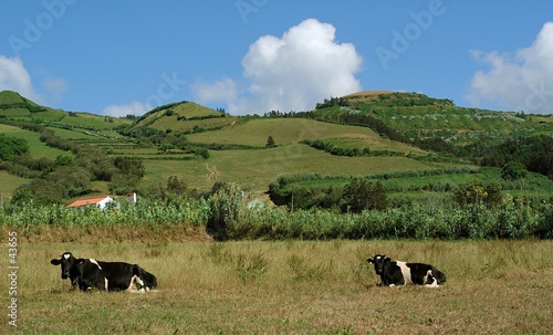 azores-03