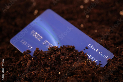 buried in debt narrow depth of field