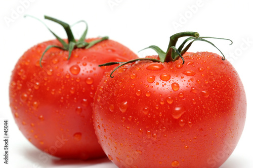 vine tomatoes © Sascha Burkard