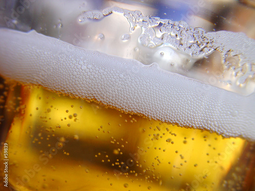 beer foam