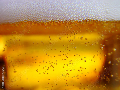 beer bubbles