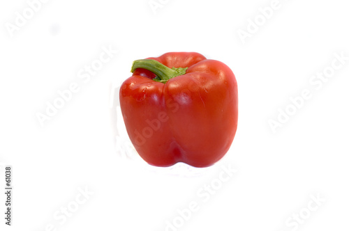 fresh bell pepper