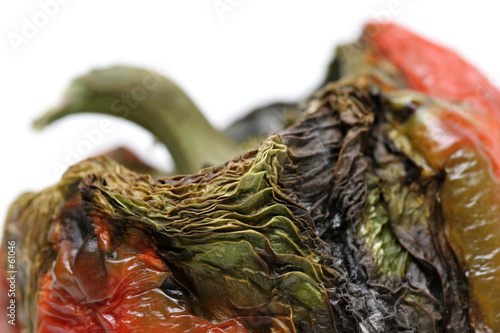 decomposition