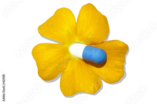 fleur thérapeutique
