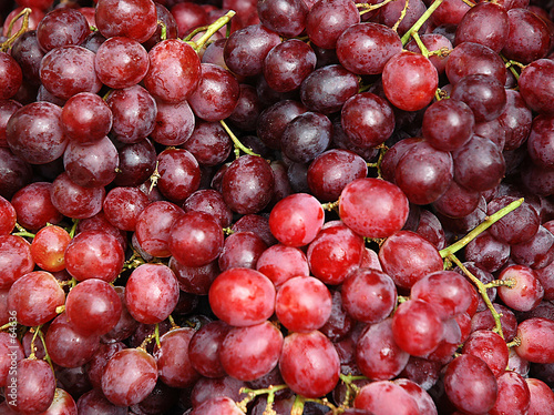 Fototapet grapes