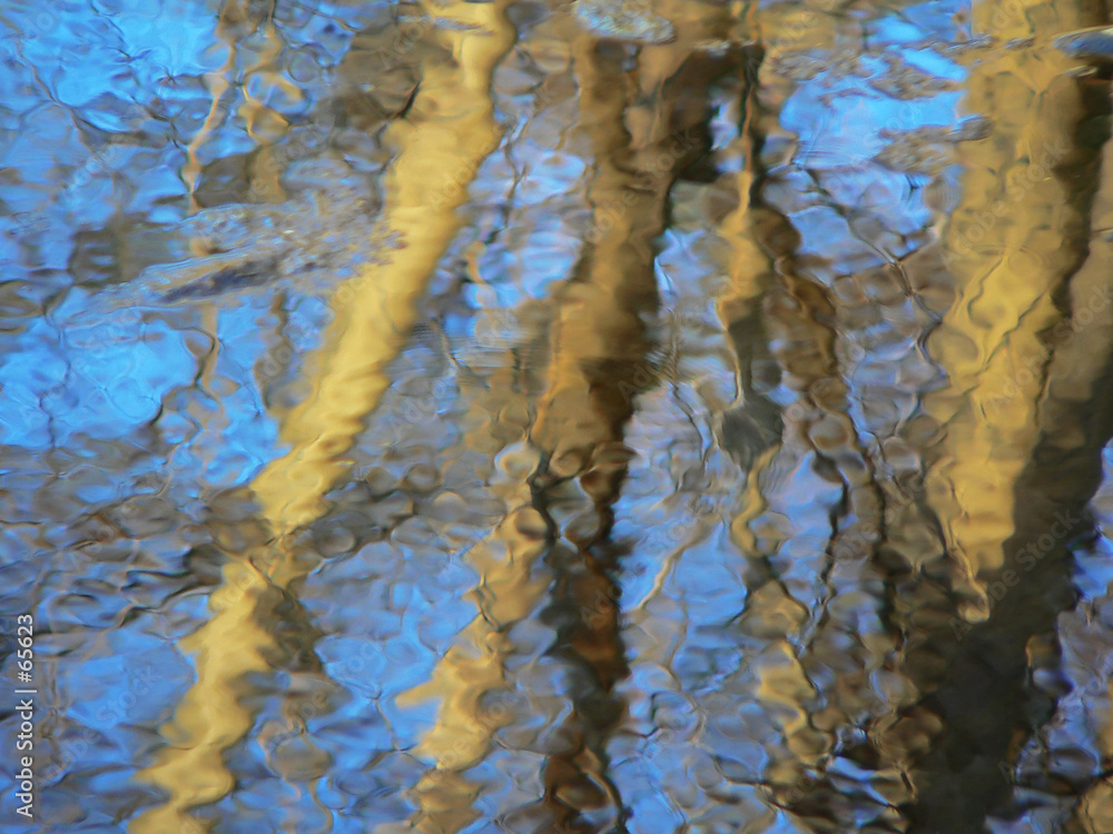 tree and sky reflection in water, background