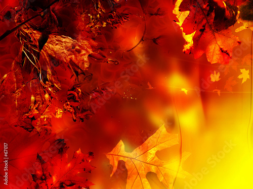 background seasonal, abstract floral