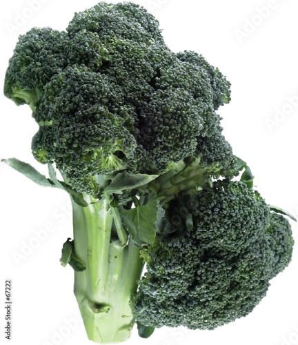broccoli