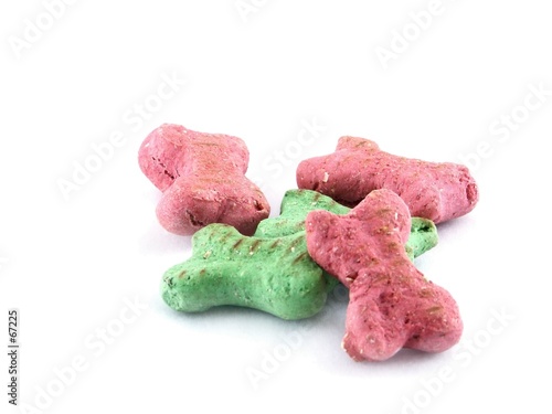 doggie treats