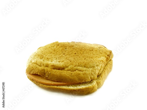 bologone sandwich
