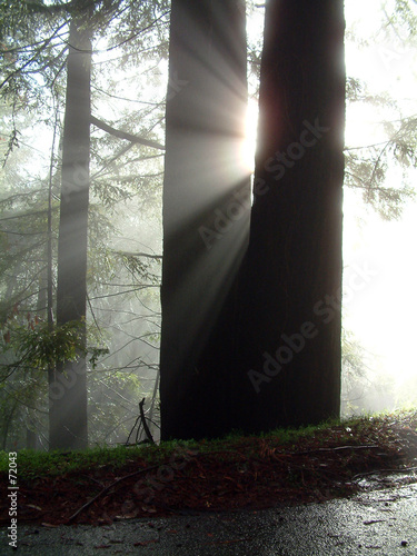 rays of hope