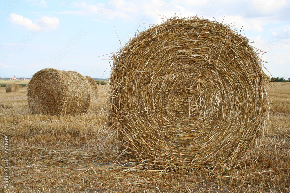 roue de foin