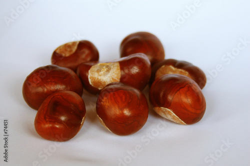 marrons d'inde