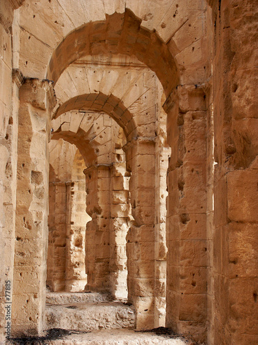 Photography arch