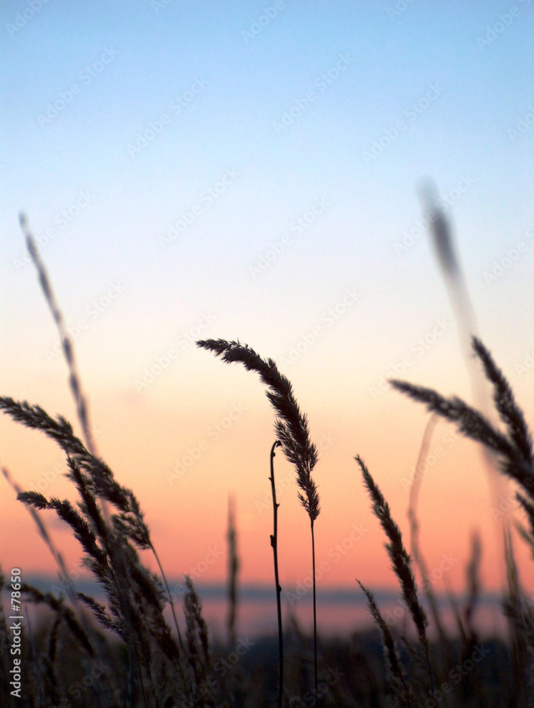sunset. silence. sunset. silence.
